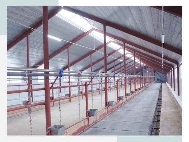 Строительство коровников в Севастополе от 619 руб.