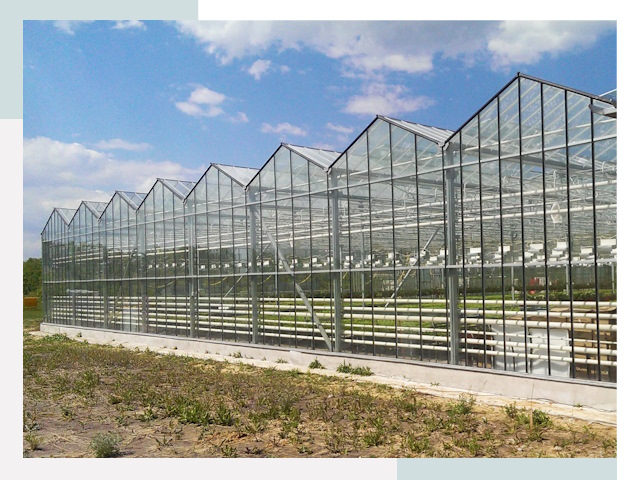Строительство теплиц в Севастополь от 619 руб. за м²